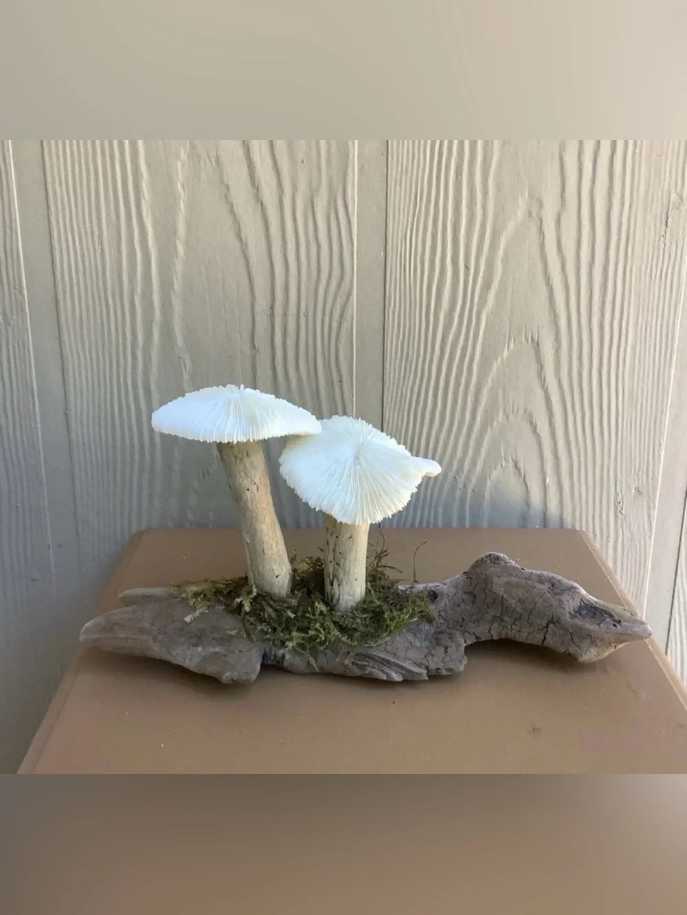 Driftwood Art, Driftwood and Coral Mushrooms, Mushroom Art, Coastal Art